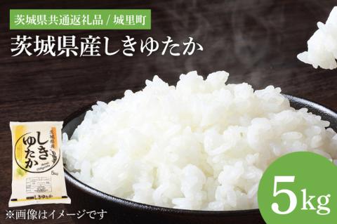 【数量限定】【令和7年度 新米】茨城県産しきゆたか（茨城県共通返礼品/城里町）5kg【お米 米 おにぎり 粒が大きい 茨城県】（IH-1079）