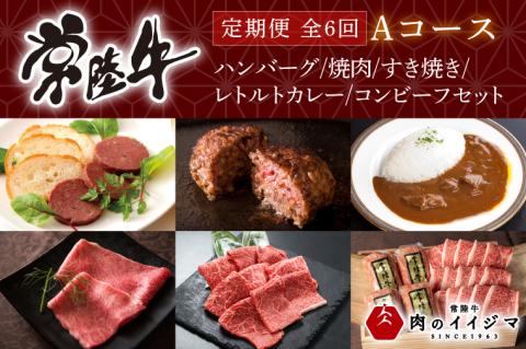 【定期便 全6回】 肉 常陸牛 6ヶ月 定期便 Aコース ハンバーグ 焼肉 すき焼き レトルトカレー コンビーフ ギフト セット 食べ物ギフト対応 【肉のイイジマ】 茨城県 水戸市（DU-107）