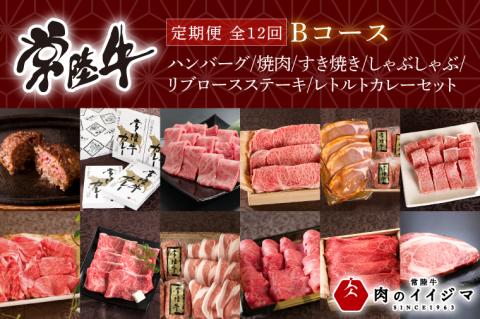 【定期便 全12回】 常陸牛 12ヶ月 定期便 Bコース 食べ物 肉 ハンバーグ 焼肉 すき焼き しゃぶしゃぶ リブロース ステーキ レトルトカレー ふるさと納税 定期便 ギフト対応（DU-112）