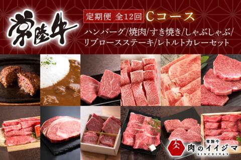 【定期便 全12回】 常陸牛 12ヶ月 定期便 Cコース 肉 常陸牛ハンバーグ 焼肉 すき焼き しゃぶしゃぶ リブロース ステーキ 常陸牛カレー レトルト ビーフ ギフト セット（DU-113）
