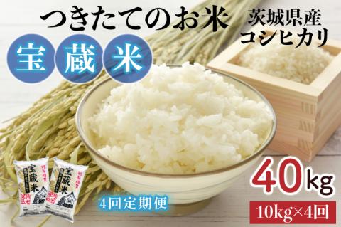 【4ヶ月定期便】【令和7年産】茨城県産コシヒカリ 宝蔵米 10kg×4回【お米 米 菊池 こしひかり つきたてのお米 食味ランキング特A評価 茨城県 水戸市】（CZ-811）