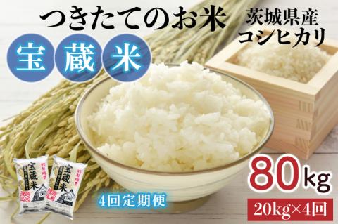 【4ヶ月定期便】【令和7年産】茨城県産コシヒカリ 宝蔵米 20kg×4回【お米 米 菊池 こしひかり つきたてのお米 食味ランキング特A評価 茨城県 水戸市】（CZ-815）