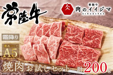 肉 常陸牛A5 焼肉 お試しセット 200g ギフト 2種類 霜降り お試しセット もも厚切り カルビ 敬老の日 プレゼント 誕生日 バーベキュー BQQ ふるさと納税 ギフト対応 【肉のイイジマ】（DU-47）