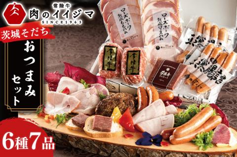 ハム ソーセージ 詰め合わせ ギフト 茨城そだち おつまみセット 17000円 常陸牛無添加ハンバーグ コンビーフ ローズポーク チョリソー お歳暮 冷凍 熨斗 【肉のイイジマ】（DU-94）