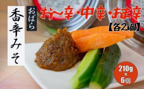 香辛みそセット（6パック入り）【味噌 ミソ みそ 信州味噌 調味料 パック 3種 ディップ 辛味噌 唐辛子 大葉 有機栽培 無農薬栽培 水戸市 茨城県】（AY-3）