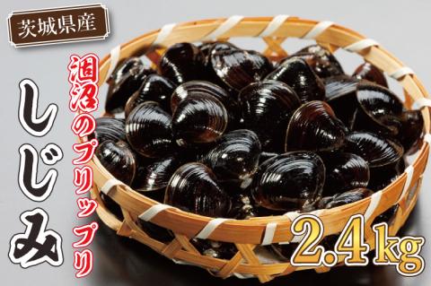 涸沼のプリップリ中粒冷凍しじみ（砂抜き済）【蜆 シジミ 10000円以内 クール すなぬき 味噌汁 栄養 貝汁 贈り物 ギフト 水戸市】（BJ-1）