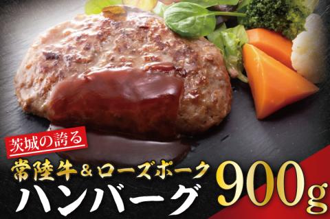 CT-2　茨城の誇る常陸牛＆ローズポークハンバーグ＜冷凍生ハンバーグ・タレセット＞