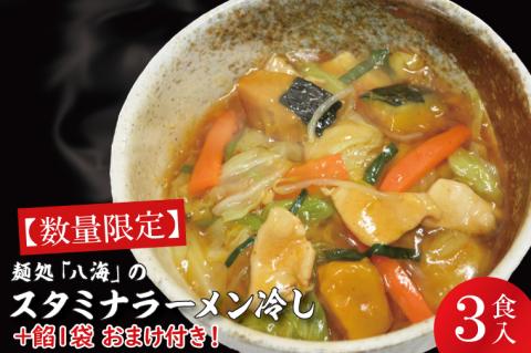 【日時指定必須】麺処「八海」のスタミナラーメン冷し（３食入り）【数量限定】+餡１袋 おまけ付き！【ラーメン 麺 スタミナ 冷やし ラーメン ご当地ラーメン ご当地グルメ 茨城県 水戸市】（FF-6）