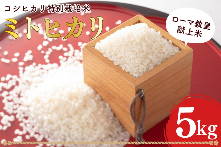 【数量限定】ローマ教皇献上米 令和7年産ミトヒカリ（コシヒカリ特別栽培米）※離島への発送不可※着日指定送不可 【新米 お米 ごはん こしひかり 5キロ 白米 茨城県産 水戸市】（AN-2）