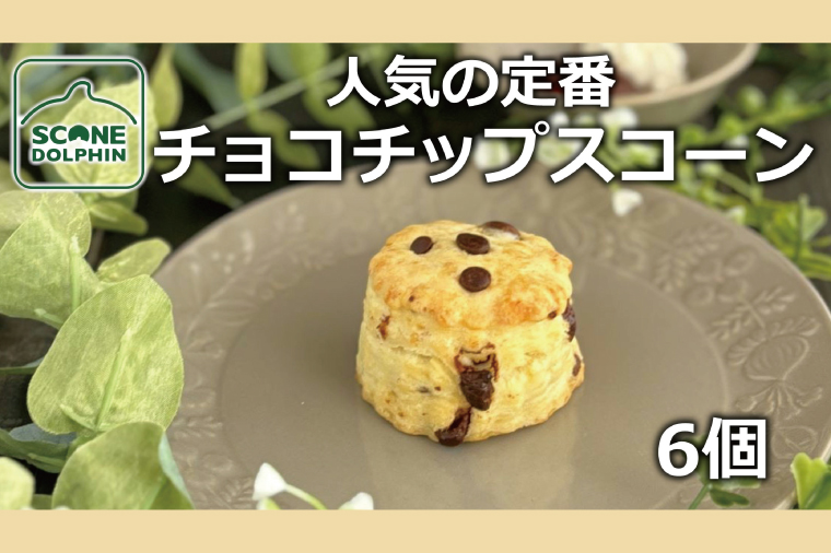 チョコチップスコーン 6個【人気 しっとり 冷凍 冷凍スコーン ミルクチョコレート チョコレート 本場 イギリス 焼き菓子 スイーツ 水戸市 水戸 茨城県 10000円以内 1万円以内】（AR-15）