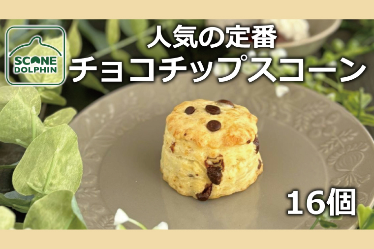 チョコチップスコーン 16個【人気 しっとり 冷凍 冷凍スコーン ミルクチョコレート チョコレート 本場 イギリス 焼き菓子 スイーツ 水戸市 水戸 茨城県 25000円以内】（AR-18）