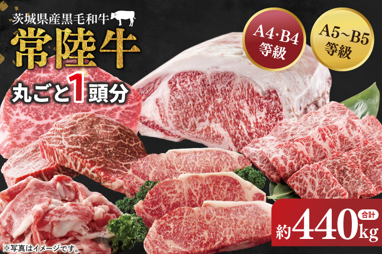 【茨城県共通返礼品】常陸牛 丸ごと１頭分 約440kg【肉 お肉 牛肉 贈答 別送対応 最高級 希少部位 A5ランク 黒毛和牛 カット済み 高品質】（BG-30）