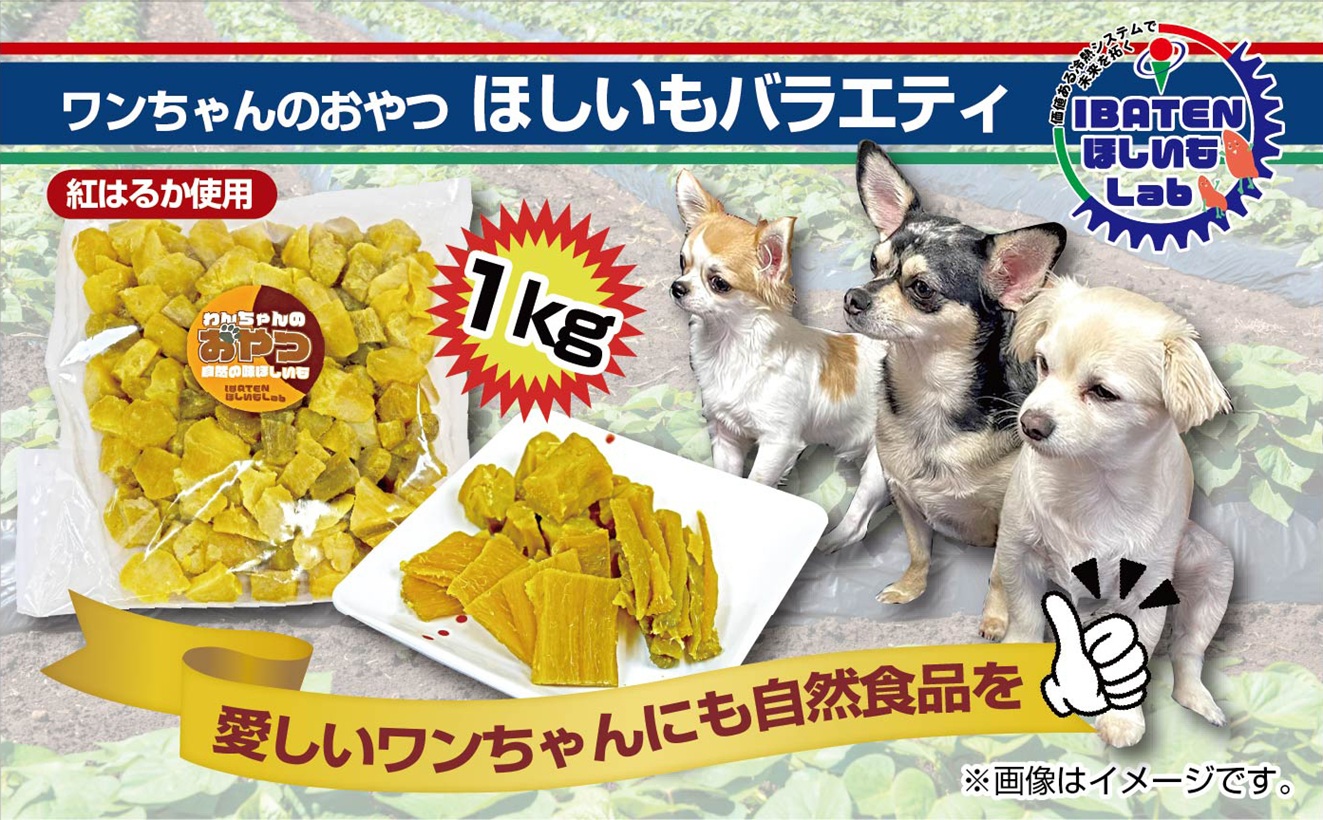 わんちゃんのおやつ ほしいもバラエティ1kg【干し芋 ほし芋 芋 犬用 さつまいも さつま芋 紅はるか 茨城県 水戸市】（BH-19）