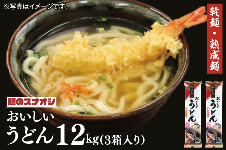 【麺のスナオシ】水戸発　おいしいうどん３箱　計12kg（200ｇ×60袋）（乾麺）【饂飩 麺 長期保存 保存食 防災 人気 大容量 水戸市 茨城県】（BY-16）