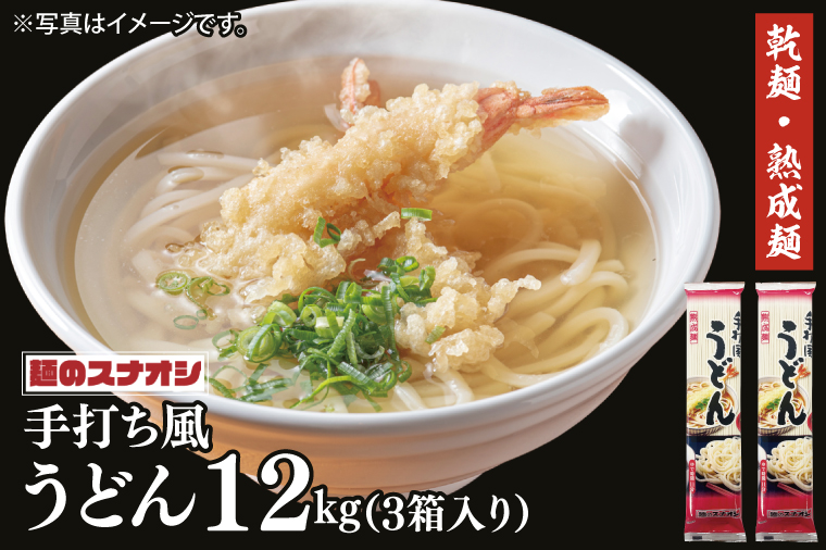 【麺のスナオシ】リピーター続出！手打風うどん３箱　計12kg（200ｇ×60袋）（乾麺）【饂飩 麺 長期保存 保存食 防災 人気 大容量 水戸市 茨城県】（BY-8）