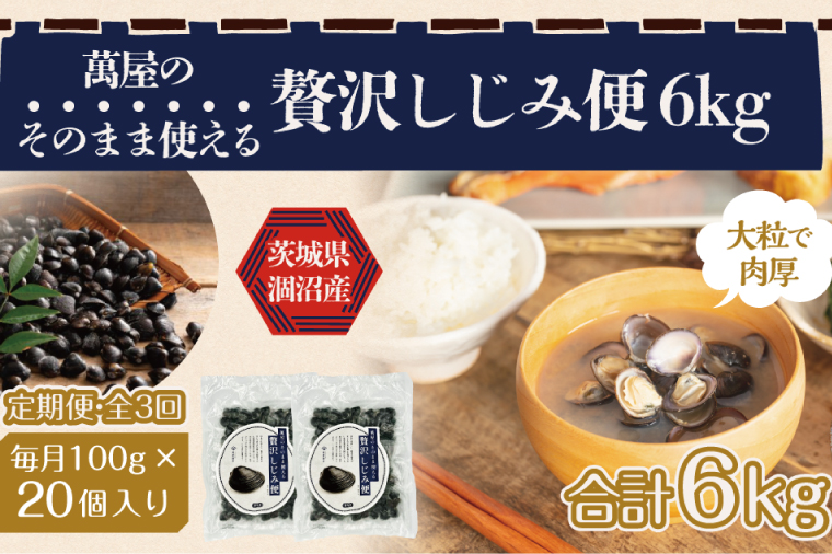 【3ヶ月定期便】涸沼産冷凍しじみ中粒２kg（100g×20p）【シジミ 中粒しじみ 産地直送 砂抜き済み 砂抜き 小分け包装 味噌汁 みそ汁 茨城県】（CA-10）