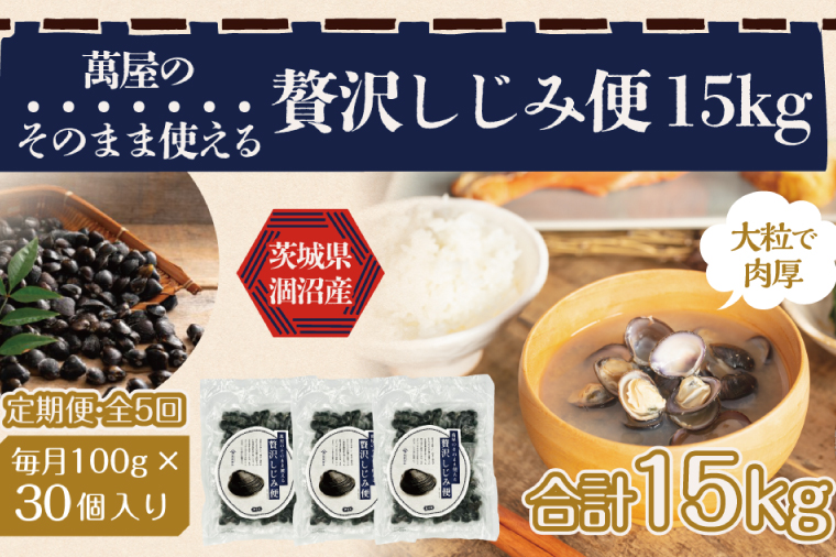 【5ヶ月定期便】涸沼産冷凍しじみ中粒３kg（100g×30p）【シジミ 中粒しじみ 産地直送 砂抜き済み 砂抜き 小分け包装 味噌汁 みそ汁 茨城県】（CA-18）