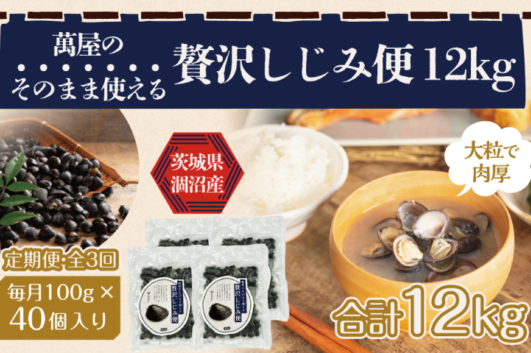 【3ヶ月定期便】涸沼産冷凍しじみ中粒４kg（100g×40p）【シジミ 中粒しじみ 産地直送 砂抜き済み 砂抜き 小分け包装 味噌汁 みそ汁 茨城県】（CA-22）