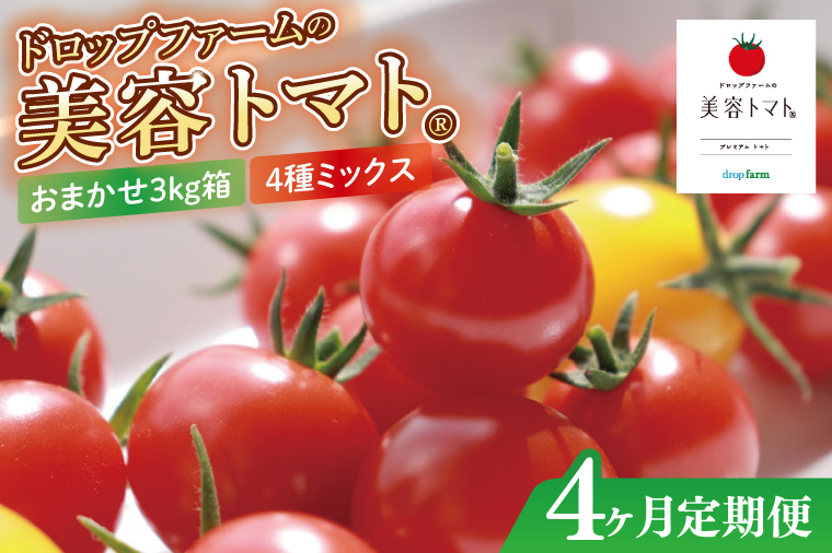 【4ヶ月定期便】【11月より順次発送】ドロップファームの美容トマトおまかせ3kg箱(４種ミックス)【とまと フルーツトマト 野菜ソムリエ 栄養士 アイコ イエローアイコ 小鈴 フルティカ 野菜 フレッシュ 水戸市 茨城県】（CK-23）