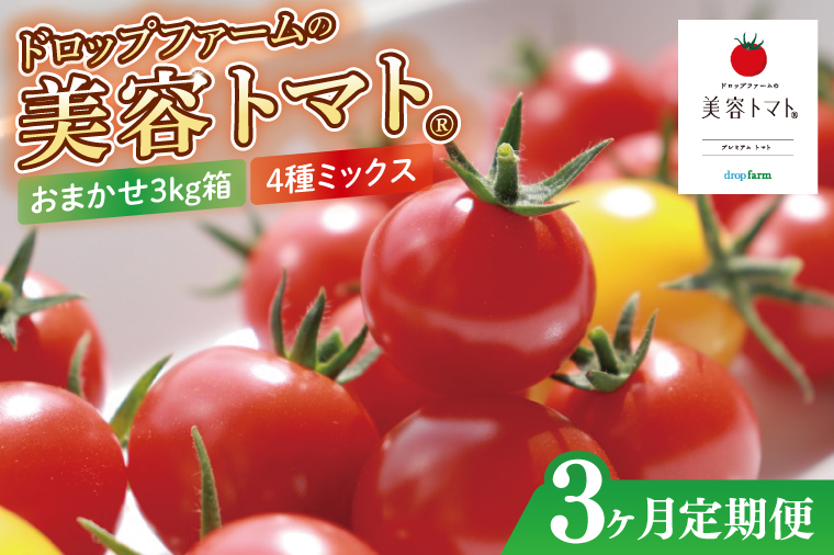 【3ヶ月定期便】【11月より順次発送】ドロップファームの美容トマトおまかせ3kg箱(4種ミックス)【とまと フルーツトマト 野菜ソムリエ 栄養士 アイコ イエローアイコ 小鈴 フルティカ 野菜 フレッシュ 水戸市 茨城県】（CK-114）