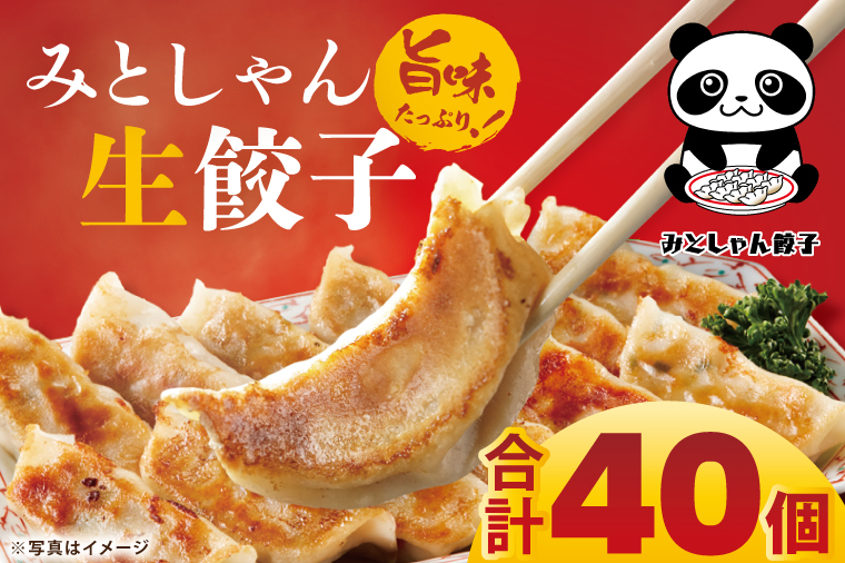 旨味たっぷり！本場プロの中華料理人が作る みとしゃん生餃子 40個【香香 シャンシャン 中華 人気 老舗 焼き餃子 冷凍 ぎょうざ ギョーザ シューマイ簡単調理 惣菜 おかず 水戸市 茨城県】（CS-2）