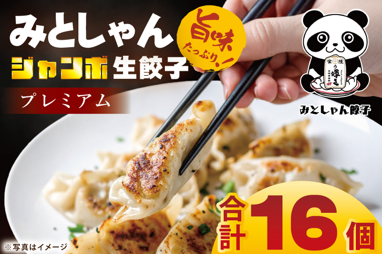 旨味たっぷり！本場プロの中華料理人が作る みとしゃんジャンボ餃子プレミアム 16個【香香 シャンシャン 中華 人気 老舗 焼き餃子  冷凍 ぎょうざ ギョーザ シューマイ簡単調理 惣菜 おかず 水戸市 茨城県】（CS-8）
