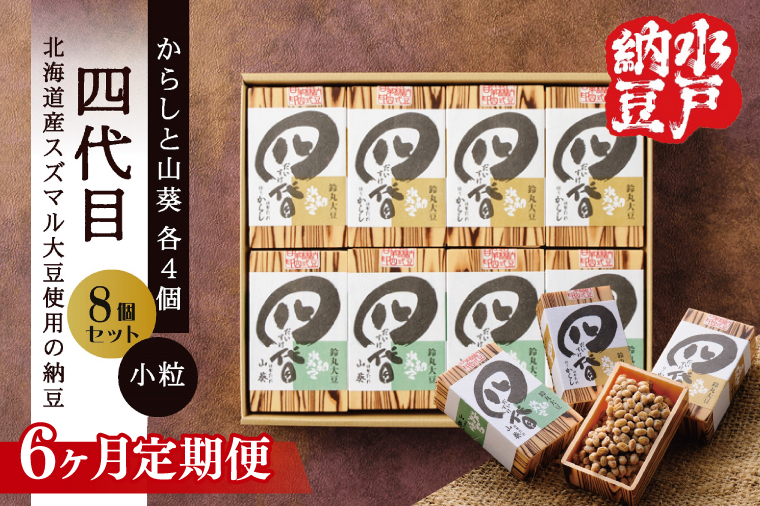 【6ヶ月定期便】【水戸納豆】四代目8個入り(カラシ4個・ワサビ4個)【納豆 なっとう 大豆 スズマル大豆  わさび 山葵 からし 辛子 ギフト 贈り物 水戸市 水戸 茨城県 】（DL-29）
