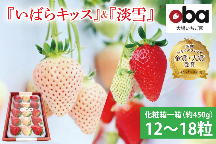 【12月中旬より順次発送】【数量限定】茨城県オリジナル品種『いばらキッス』と希少なプレミアム白イチゴ『淡雪』紅白化粧箱一箱（12粒～18粒）【いちご 苺 フルーツ 果物 くだもの 水戸市 茨城県】（DO-2）