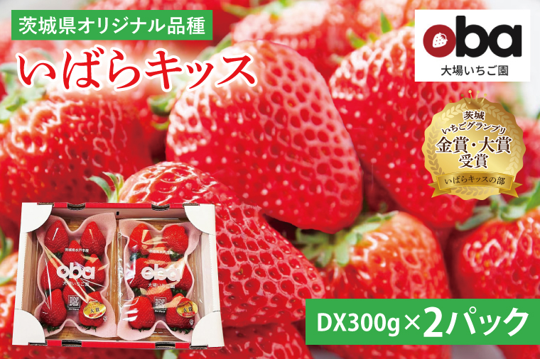 【12月中旬より順次発送】【数量限定】茨城県オリジナル品種『いばらキッス』DX300g×2パック【いちご 苺 フルーツ 果物 くだもの 水戸市 茨城県】（DO-3）
