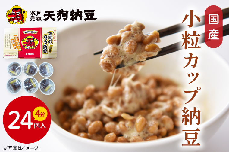 【天狗納豆】国産小粒カップ納豆（50ｇ×6個）×4箱【納豆 なっとう 小粒 老舗 朝食 ご飯 ご家庭用 ストック ソウルフード 水戸市 水戸 茨城県】（DQ-17）