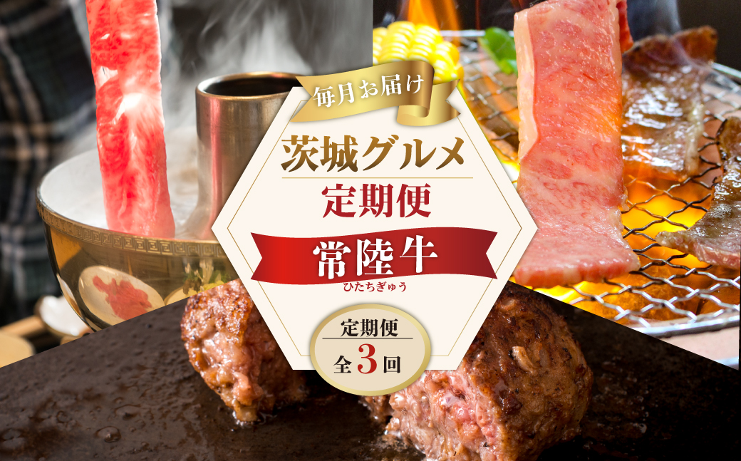 【定期便 全3回】 常陸牛 3ヶ月 定期便 Bコース 食べ物 肉 常陸牛ハンバーグ 10個 無添加 冷凍 焼き肉 カルビ 焼肉 しゃぶしゃぶ ギフト セット ふるさと納税 【肉のイイジマ】 茨城県(DU-104)