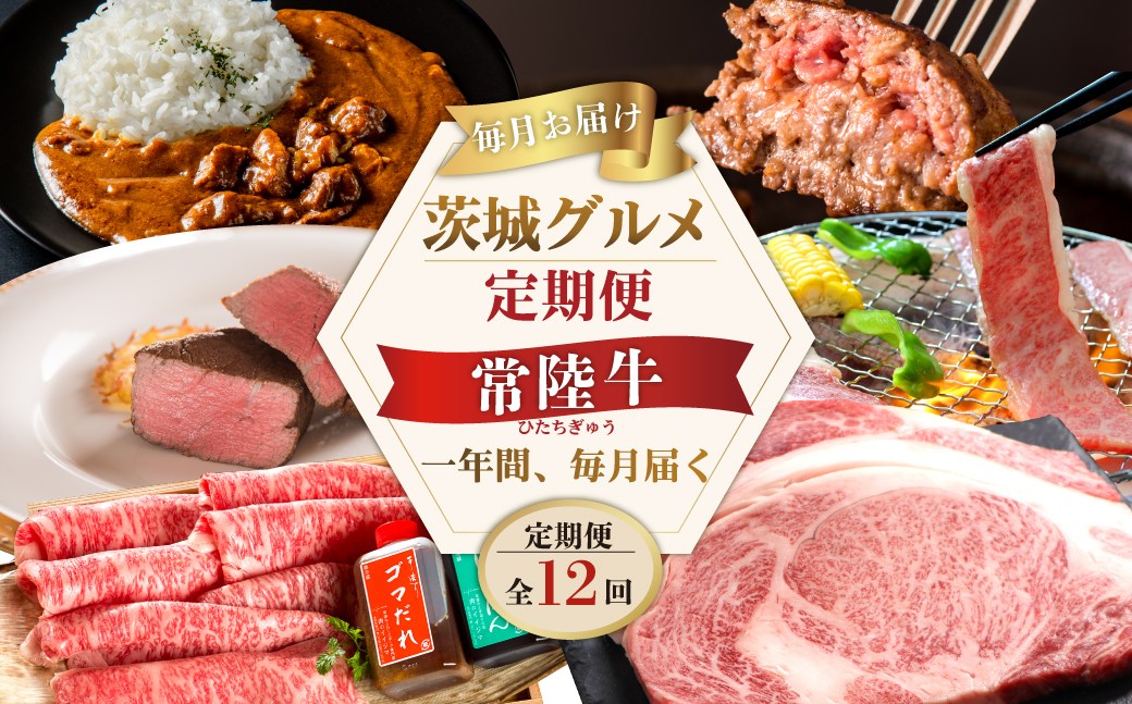 【定期便 全12回】 常陸牛 12ヶ月 定期便 Cコース 肉 常陸牛ハンバーグ 焼肉 すき焼き しゃぶしゃぶ リブロース ステーキ 常陸牛カレー レトルト ビーフ ギフト セット（DU-113）