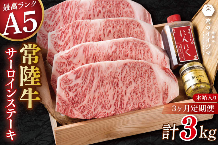 【3ヶ月定期便】常陸牛 A5 サーロインステーキ 250g×4枚 牛肉 茨城県 水戸市（DU-146）