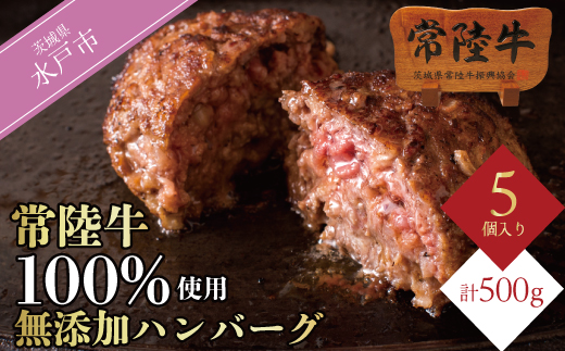 常陸牛100% ハンバーグ 無添加 5個 セット リピーター続出！ ギフト 食べ物 肉 10000円 手捏ね 焼くだけでレストランの味 冷凍 小分け お歳暮 ※離島への配送不可（北海道、沖縄本島は配送可能）（DU-6）