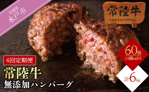 【定期便6回】肉 常陸牛ハンバーグ100g×10個 計1kg × 6回 セット ギフト リピーター続出！ お返し 内祝い 記念日 プレゼント 誕生日 個別真空パック 焼くだけでレストランの味（DU-60）