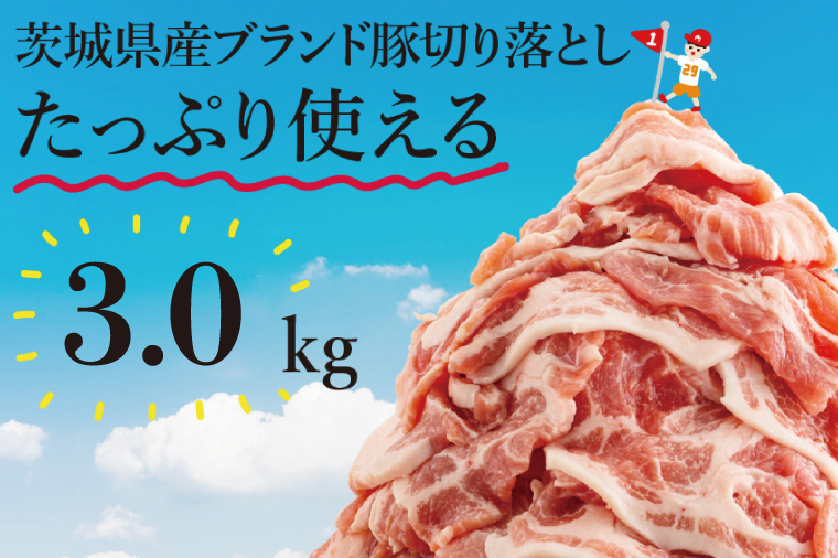 【数量限定】リピーター続出！茨城県産ブランド豚切り落とし3kg (300g×10p)【肉 豚肉 切り落とし 小分け 真空 真空パック 茨城県産 肉料理 肩ロース ウデ モモ バラ 水戸市 水戸】（EC-20）