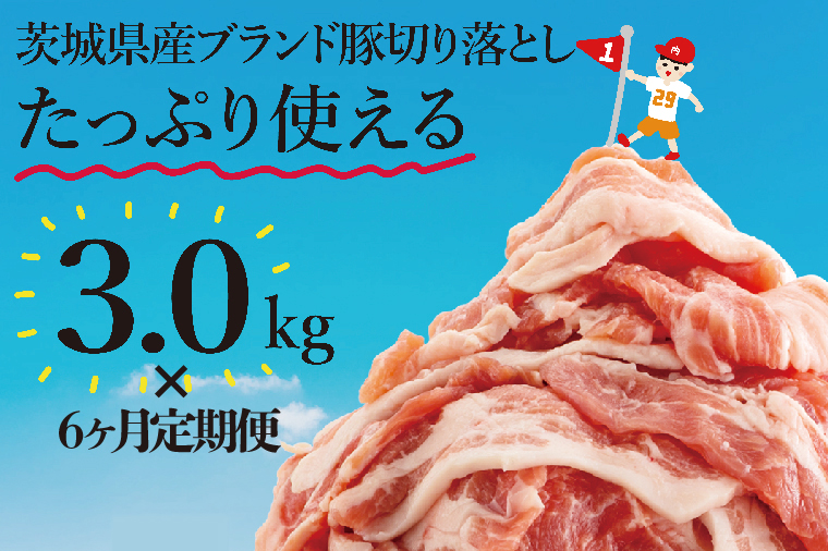 【数量限定】【6か月定期便】リピーター続出！茨城県産豚ブランド切り落とし計18kg(３kg×6回)【肉 豚肉 切り落とし 小分け 真空 真空パック 茨城県産 肉料理 肩ロース ウデ モモ バラ 水戸市 水戸】（EC-103）