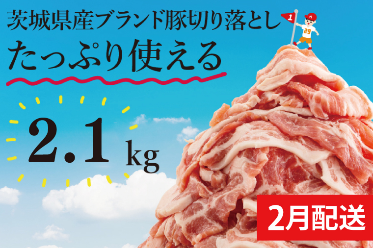 【数量限定】【2月発送】茨城県ブランド豚切り落とし2.1kg (300g×7p)【肉 豚肉 切り落とし 小分け 真空 真空パック 茨城県産 肉料理 肩ロース ウデ モモ バラ 水戸市 水戸】（EC-19-2）