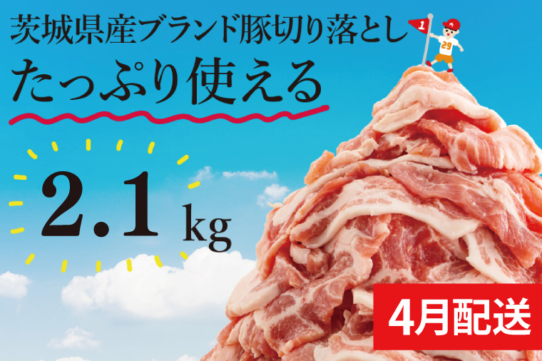 【数量限定】【4月発送】茨城県ブランド豚切り落とし2.1kg (300g×7p)【肉 豚肉 切り落とし 小分け 真空 真空パック 茨城県産 肉料理 肩ロース ウデ モモ バラ 水戸市 水戸】（EC-19-4）