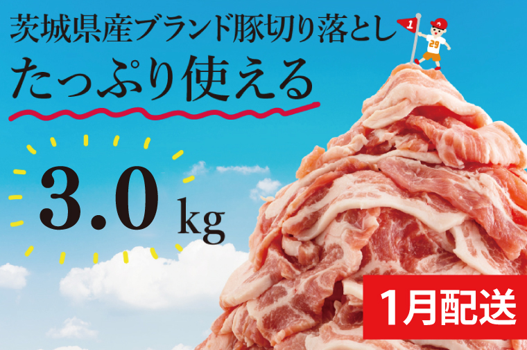 【数量限定】【1月発送】茨城県産ブランド豚切り落とし3kg (300g×10p)【肉 豚肉 切り落とし 小分け 真空 真空パック 茨城県産 肉料理 肩ロース ウデ モモ バラ 水戸市 水戸】（EC-20-1）