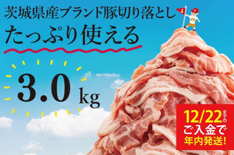 【数量限定】【12/22までにご入金で年内発送】【12月発送】茨城県産ブランド豚切り落とし3kg (300g×10p)【肉 豚肉 切り落とし 小分け 真空 真空パック 茨城県産 肉料理 肩ロース ウデ モモ バラ 水戸市 水戸】（EC-20-12）