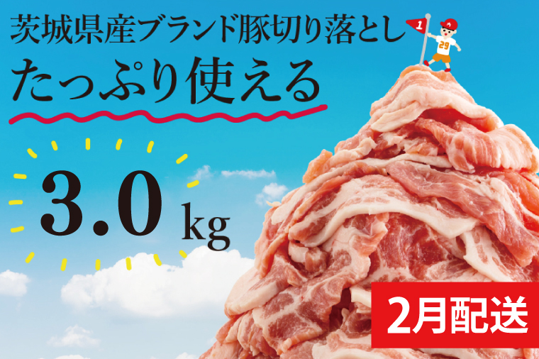 【数量限定】【2月発送】茨城県産ブランド豚切り落とし3kg (300g×10p)【肉 豚肉 切り落とし 小分け 真空 真空パック 茨城県産 肉料理 肩ロース ウデ モモ バラ 水戸市 水戸】（EC-20-2）