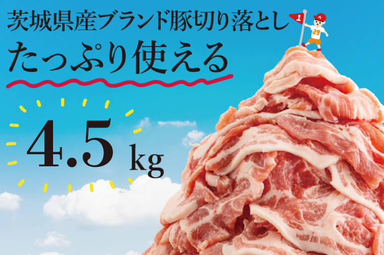 【数量限定】リピーター続出！茨城県ブランド豚切り落とし4.5kg (300g×15p)【肉 豚肉 切り落とし 小分け 真空 真空パック 茨城県産 肉料理 肩ロース ウデ モモ バラ 水戸市 水戸】（EC-104）