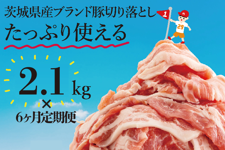 【数量限定】【6か月定期便】リピーター続出！茨城県産豚ブランド切り落とし計12.6kg(2.1kg×6回)【肉 豚肉 切り落とし 小分け 真空 真空パック 茨城県産 肉料理 肩ロース ウデ モモ バラ 水戸市 水戸】（EC-9_2）