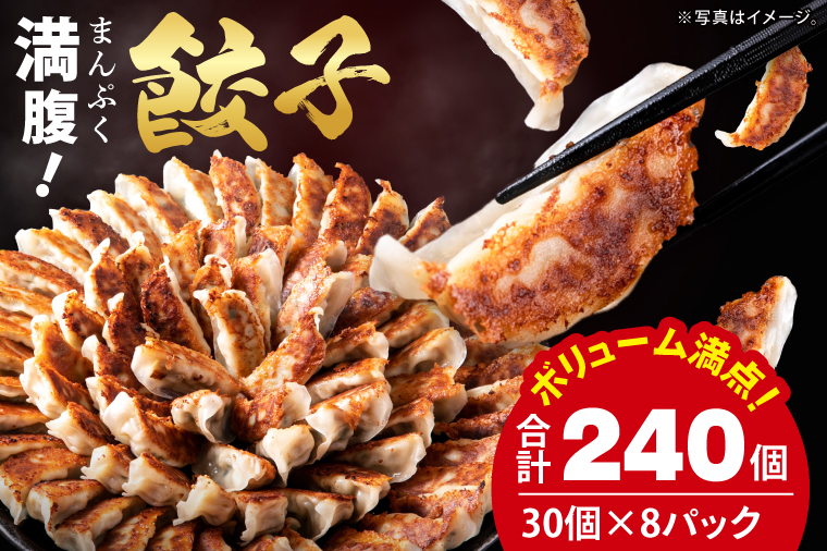 満腹餃子 リピーター続出！ボリューム満点！240個（6kg）【老舗 大容量 国産 焼き餃子 冷凍 ぎょうざ ギョーザ 冷凍餃子 簡単調理 惣菜 おかず 水戸市 水戸 茨城県】（EJ-19）