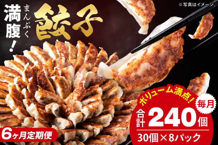 【6ヶ月定期便】満腹餃子 リピーター続出！ボリューム満点！240個（6kg）×6回【老舗 大容量 国産 焼き餃子 冷凍 ぎょうざ ギョーザ 冷凍餃子 簡単調理 惣菜 おかず 水戸市 水戸 茨城県 】（EJ-21）