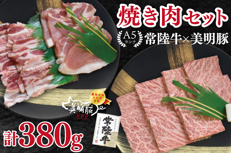 【常陸牛 A5ランク・美明豚焼肉セット】常陸牛カルビ180g＋美明豚200g（ロース100g・ばら100g） 冷凍 国産牛 和牛 牛肉 豚肉　ブランド豚 茨城県 水戸市 食べ比べ セット商品 国産 BBQ 10000円以内 老舗精肉店 EK-22