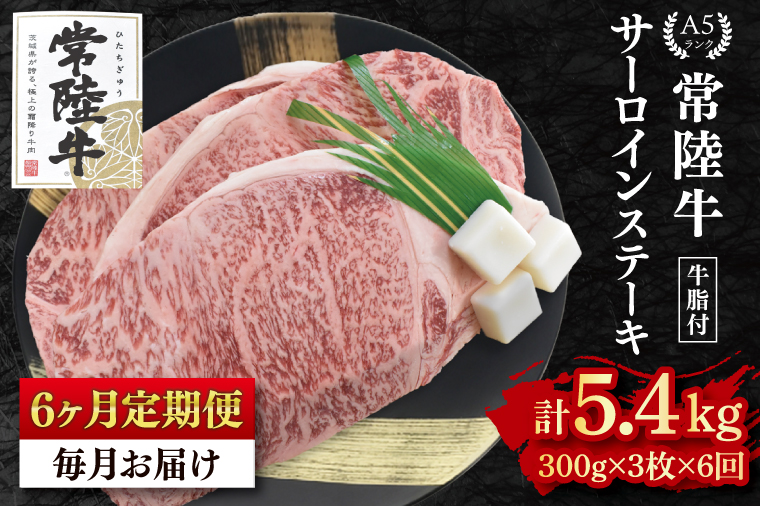 【6か月定期便】【常陸牛 A5ランク】サーロインステーキ　900ｇ（300ｇ×３枚） 冷凍 国産牛 和牛 牛肉 茨城県 水戸市  国産 老舗精肉店（EK-3_2）