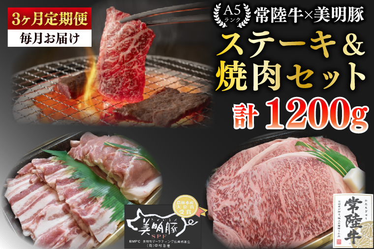 【3ヶ月定期便】【常陸牛 A5ランク・美明豚ステーキ焼肉セット】常陸牛サーロイン200ｇ＋美明豚200ｇ（ロース100ｇ・ばら100ｇ）【冷凍 国産牛 和牛 牛肉 豚肉 ブランド豚 茨城県 水戸市 食べ比べ セット商品 国産 BBQ】（EK-34_1）