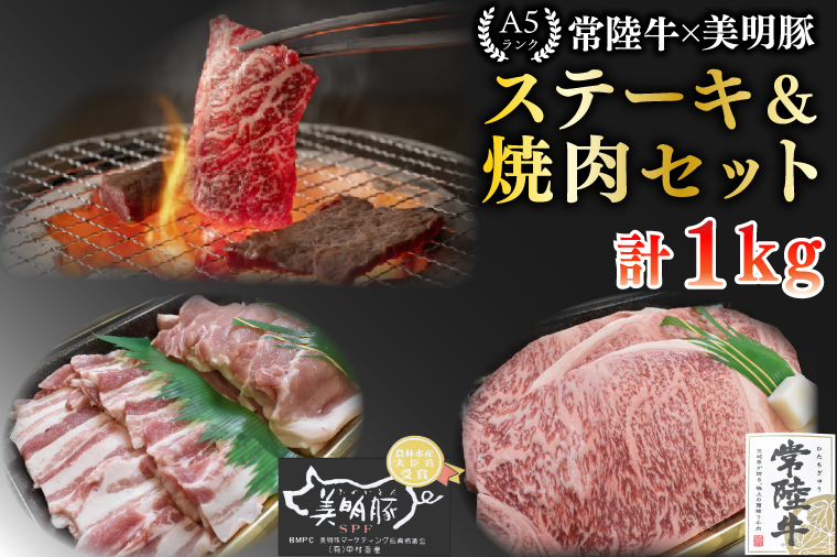 【常陸牛 A5ランク・美明豚ステーキ焼肉セット】常陸牛サーロイン600g（300g×２枚）＋美明豚400g（ロース200g・ばら200g） 冷凍 国産牛 和牛 牛肉 豚肉　ブランド豚 茨城県 水戸市 食べ比べ セット商品 国産 BBQ 35000円以内 老舗精肉店 EK-35